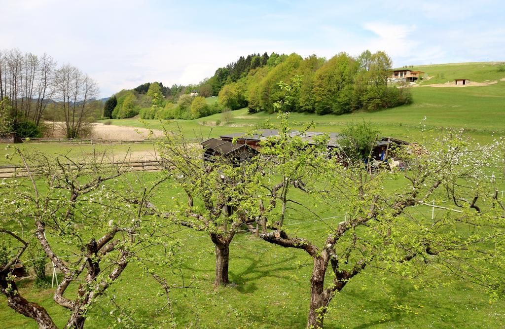 Familienparadies Reichenhauser Keutschach am See Exteriör bild